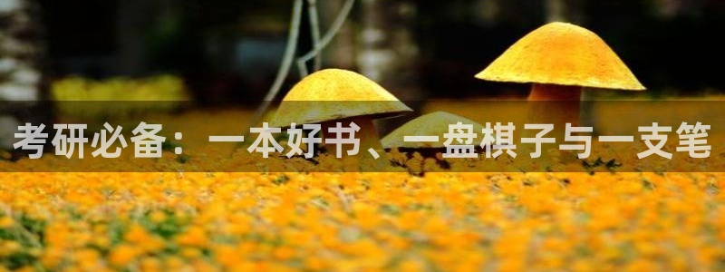 卧龙娱乐日：考研必备：一本好书、一盘棋子