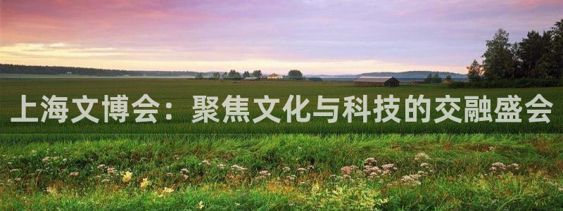 卧龙沙滩娱乐：上海文博会：聚焦文化与科技