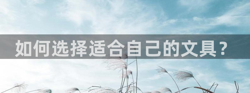 卧龙凤雏娱乐图：如何选择适合自己的文具？