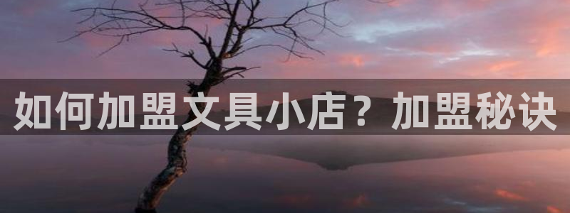 BA娱乐卧龙主管60447：如何加盟文具