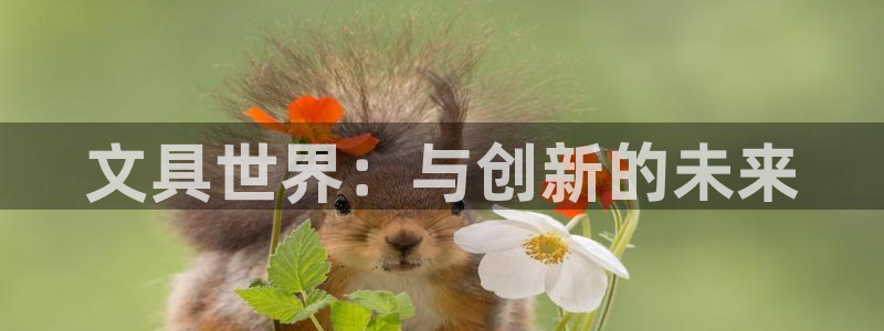 卧龙娱乐挂机平台：文具世界：与创新的未来