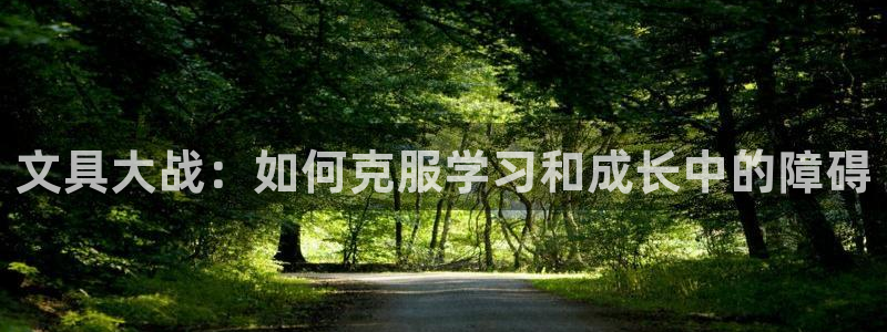 卧龙凤雏娱乐运城：文具大战：如何克服学习