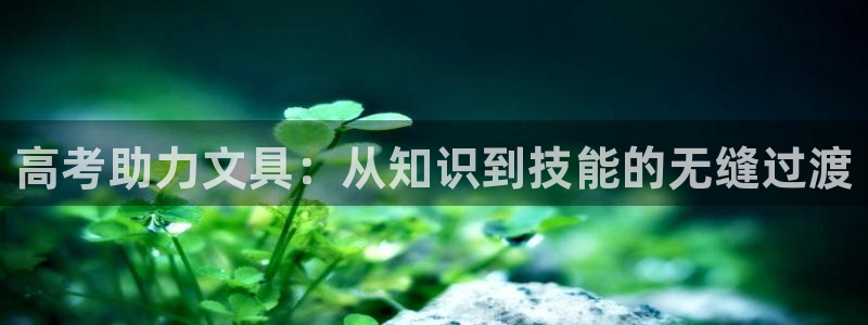 卧龙娱乐登录地址：高考助力文具：从知识到