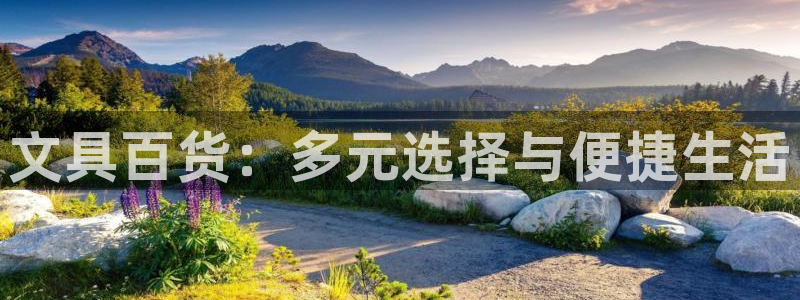 卧龙娱乐气垫项目投资：文具百货：多元选择