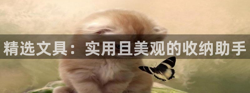 卧龙娱乐382223主管：精选文具：实用