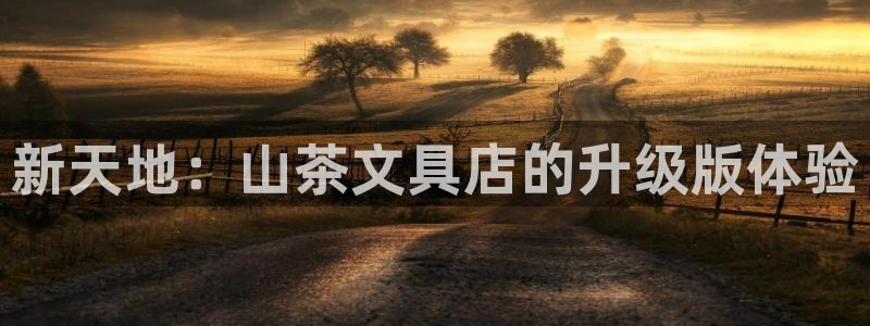 卧龙娱乐在线直播网：新天地：山茶文具店的