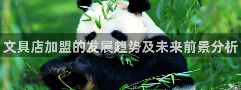 卧龙娱乐注册地址：文具店加盟的发展趋势及