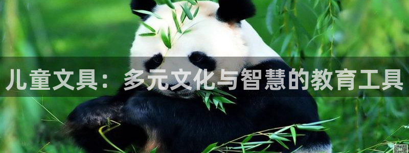 杏耀娱乐 0 47卧龙：儿童文具：多元文