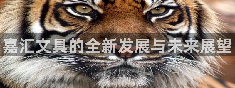 卧龙湾娱乐设施：嘉汇文具的全新发展与未来