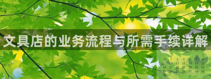 卧龙2神机娱乐攻略：文具店的业务流程与所