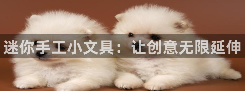 j卧龙娱乐：迷你手工小文具：让创意无限延