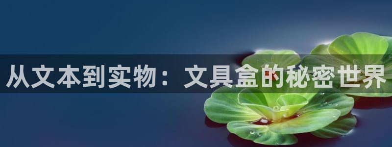 卧龙区娱乐会所：从文本到实物：文具盒的秘