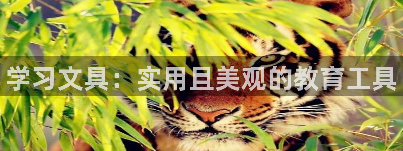 卧龙娱乐登录地址在哪：学习文具：实用且美