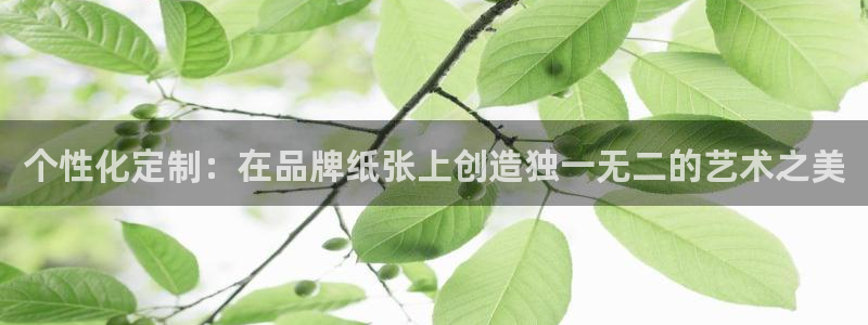卧龙娱乐可靠吗：个性化定制：在品牌纸张上