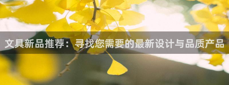 卧龙岗娱乐：文具新品推荐：寻找您需要的最