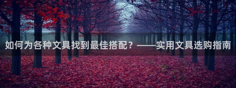 杏耀娱乐 0 47卧龙：如何为各种文具找