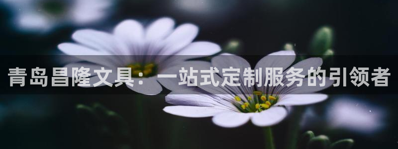 卧龙娱乐怎么不能注册：青岛昌隆文具：一站