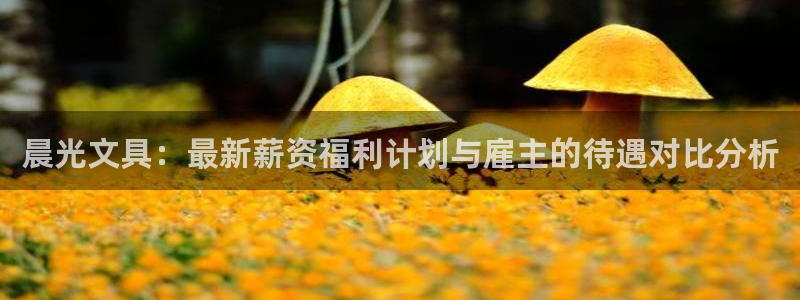 卧龙冲气娱乐设备：晨光文具：最新薪资福利