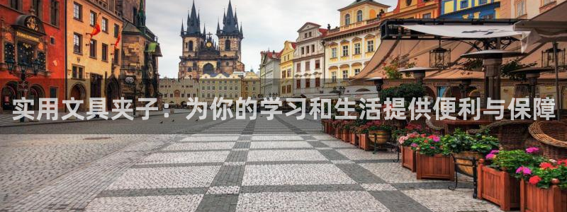 卧龙牧原娱乐设施：实用文具夹子：为你的学