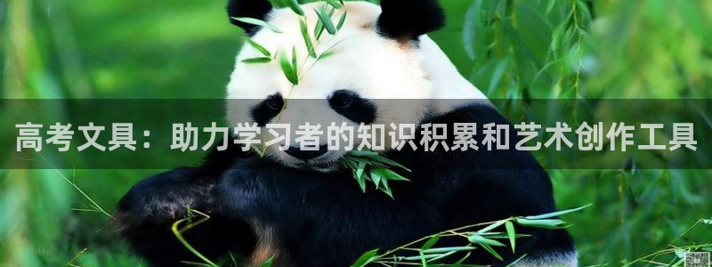 卧龙湾娱乐购票：高考文具：助力学习者的知