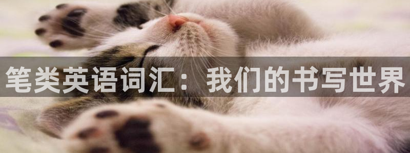 卧龙娱乐322901：笔类英语词汇：我们