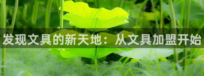 卧龙岗娱乐馆：发现文具的新天地：从文具加