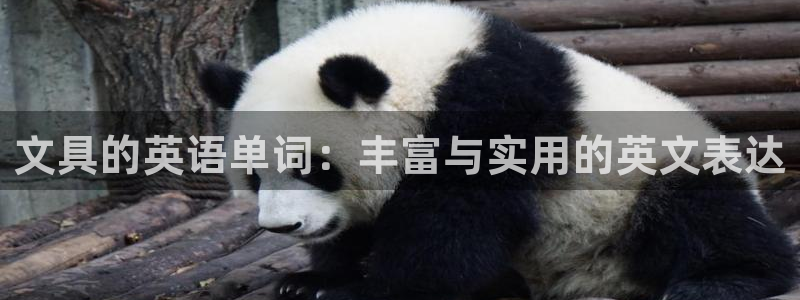 卧龙娱乐靠谱吗：文具的英语单词：丰富与实