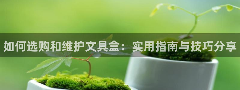 卧龙娱乐后：如何选购和维护文具盒：实用指