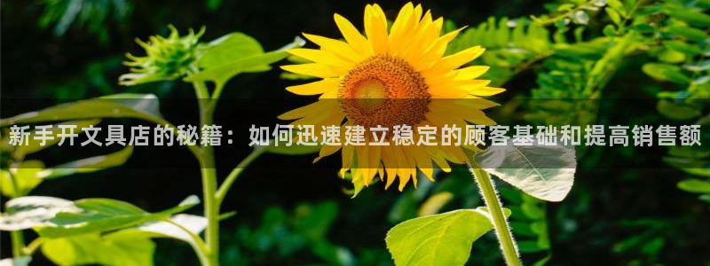 卧龙娱乐集团投注：新手开文具店的秘籍：如