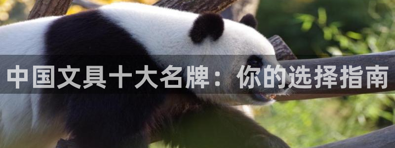 卧龙娱乐直播间：中国文具十大名牌：你的选