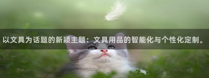 卧龙山娱乐：以文具为话题的新颖主题：文具