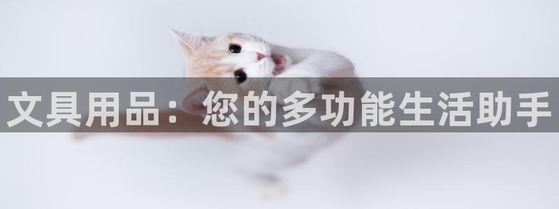 卧龙娱乐平台靠谱吗：文具用品：您的多功能