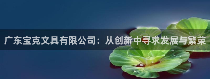 卧龙娱乐地7O667：广东宝克文具有限公