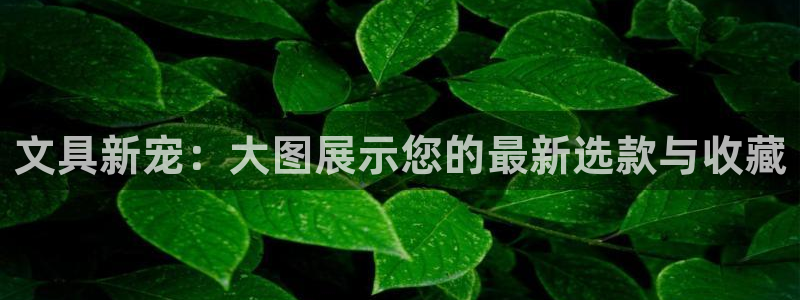 卧龙娱乐彩票中奖了吗：文具新宠：大图展示