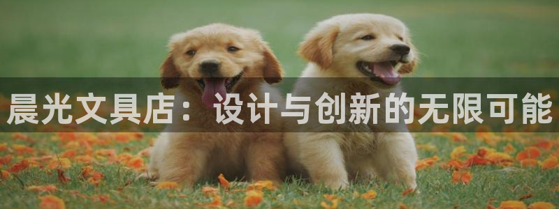 卧龙娱乐平台下载：晨光文具店：设计与创新