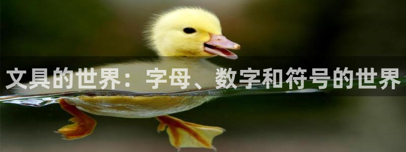 卧龙娱乐测速：文具的世界：字母、数字和符
