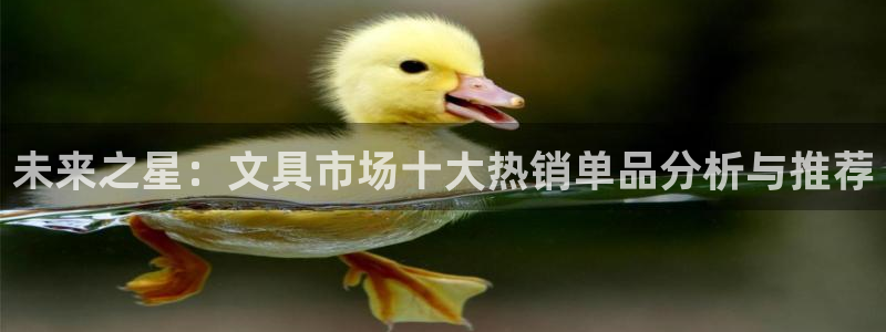 卧龙娱乐注册地址：未来之星：文具市场十大