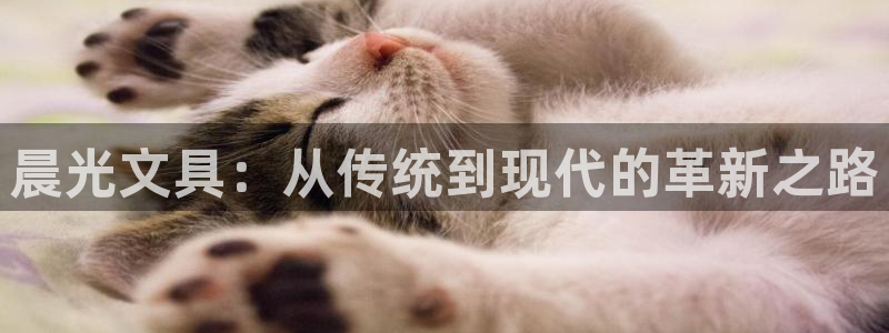 卧龙儿童娱乐设施：晨光文具：从传统到现代