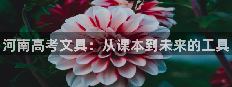 卧龙凤雏娱乐运城：河南高考文具：从课本到