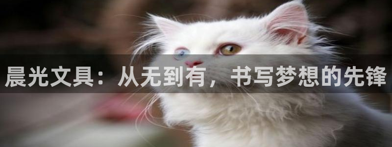 卧龙娱乐若七九九：晨光文具：从无到有，书