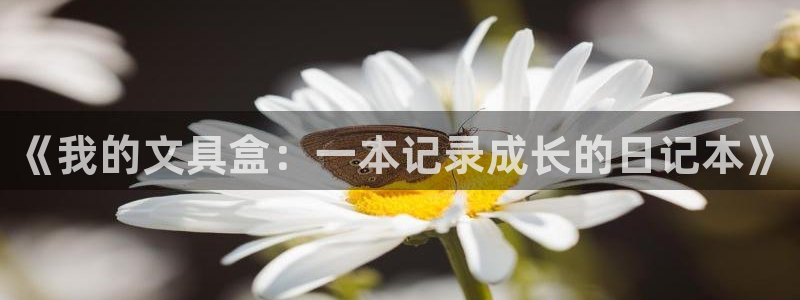 南阳卧龙娱乐厂招聘：《我的文具盒：一本记