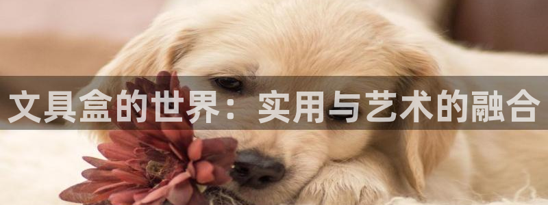 卧龙儿童娱乐设施：文具盒的世界：实用与艺