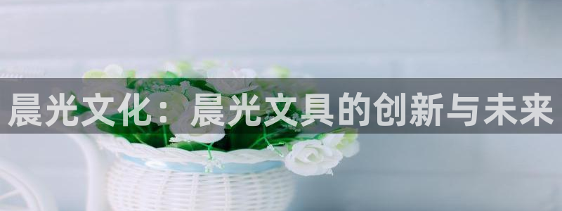 卧龙娱乐拆卡攻略：晨光文化：晨光文具的创