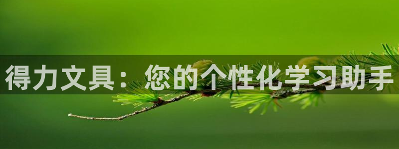 卧龙休闲娱乐优惠：得力文具：您的个性化学