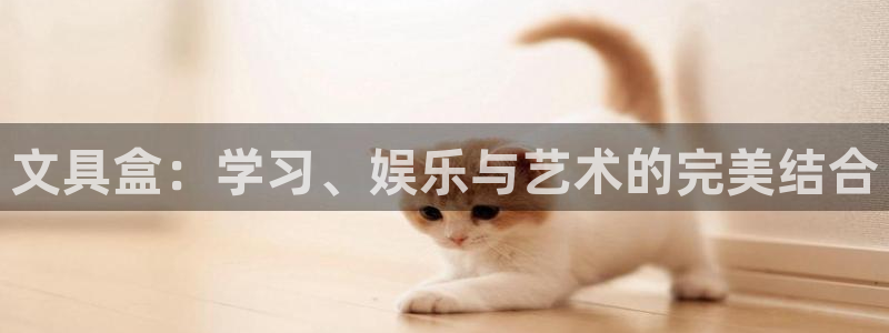 卧龙娱乐前7O667：文具盒：学习、娱乐