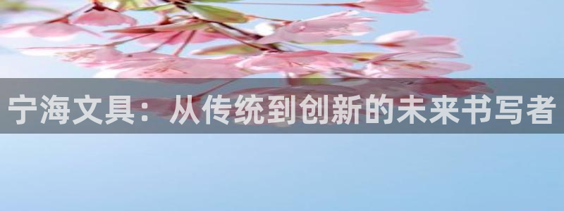 卧龙娱乐怎么样：宁海文具：从传统到创新的