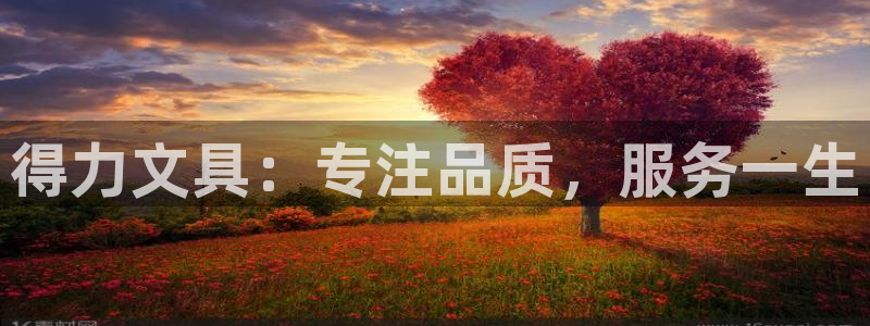 卧龙岗娱乐馆：得力文具：专注品质，服务一